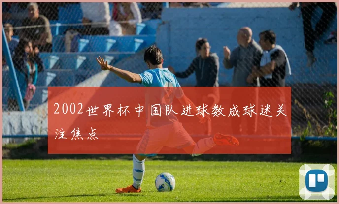 2002世界杯中国队进球数成球迷关注焦点